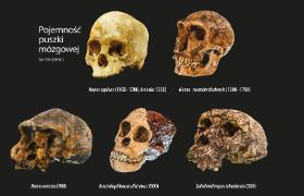 Pojemność puszki mózgowej