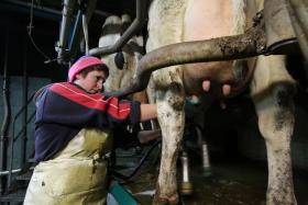 Agata Przeździecka - Gospodarstwo rolno hodowlane we wsi Lendowo - Budy.