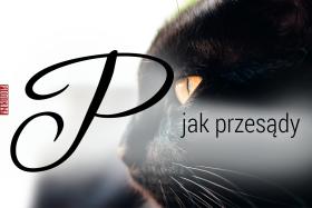 P jak przesądy, przesądów rugowanieCzymś na podobieństwo przesądności obdarzone są nawet ptaki. U ludzi skłonność do myślenia magicznego jest nieporównanie bardziej zaawansowana. Opowieści ku przestrodze, obsadzające siły przyrody w rolach bóstw i demonów, zwiększały szansę na przetrwanie jednostki i społeczności (nie idź w czasie burzy na łąkę, bo cię Bóg Piorun strzeli). Mówił Dennett POLITYCE: „Świetnie rozpoznajemy prawidłowości w otaczającym nas świecie. Ale ceną za zdolność rozpoznawania prawidłowości jest skłonność do dostrzegania prawidłowości również tam, gdzie ich nie ma. Dostrzegamy kształty w przypadkowym szumie. Można powiedzieć, że to właśnie narodziny zabobonu”. Skłonność ta uniemożliwia jednak prowadzenie rzeczowej dyskusji filozoficznej o umyśle, bo pojęcie świadomości zostało porwane i jest przetrzymywane jako jeniec zwolenników czarów-marów. Ich odbicie uważa Dennett za swoje życiowe zadanie.