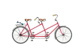 Cyrkularne koła pozytywnych wymian przekazywane są między pokoleniami poprzez mechanizmy uczenia się.