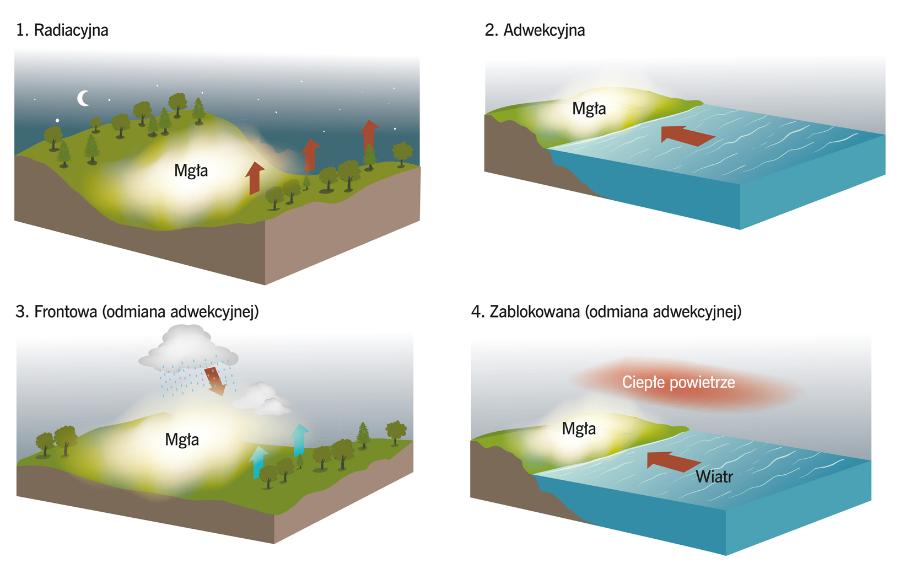 Powstawanie czterech typów mgieł: 1 – lokalnie w wyniku wypromieniowania ciepła z gruntu podczas bezchmurnej nocy; 2 – wskutek zetknięcia ciepłego i wilgotnego powietrza z wychłodzonym gruntem; 3 – efekt kontaktu ciepłego deszczu przyniesionego przez ciepły front atmosferyczny z chłodną warstwą powietrza zalegającego przy gruncie; 4 – wyżej leżąca warstwa ciepłego powietrza zamyka mgłę w soczewce chłodnego powietrza.