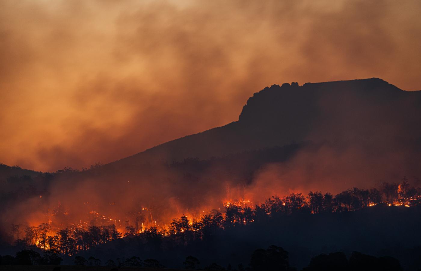 Pożar lasu, Tasmania, Australia