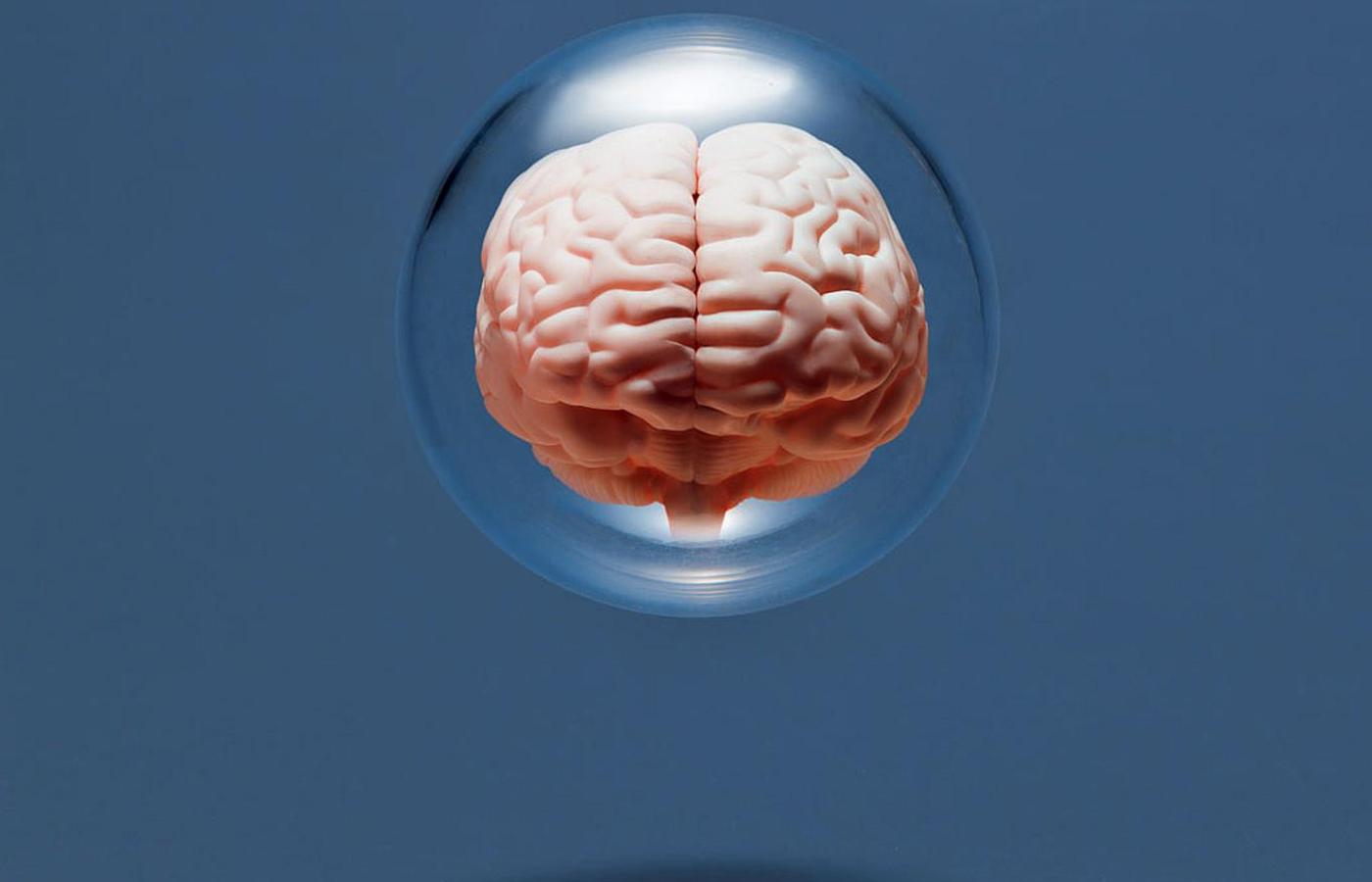 Mózg cały czas się zmienia, tworząc nowe połączenia, np. podczas zapamiętywania informacji czy uczenia się nowych umiejętności.