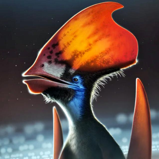 Tupandactylus imperator – wizja artystyczna.