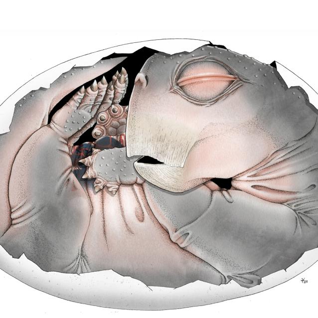 Pulsar - wyjątkowy portal naukowy.