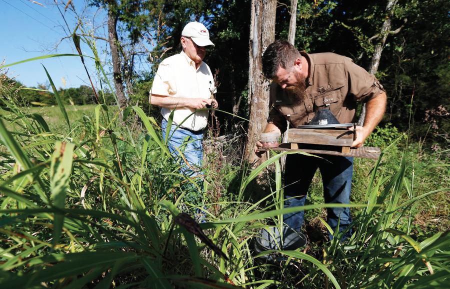 Polowanie na chrząszcza: Biolog Andy Middick (brązowa koszula) sprawdza pułapkę na grabarza amerykańskiego zainstalowaną w pobliżu miasta Stuart w Oklahomie.