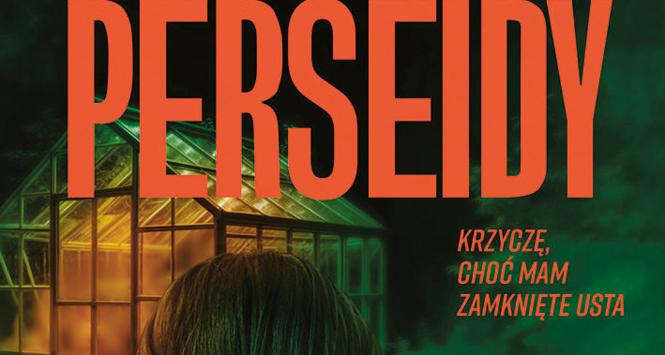 Książka Perseidy