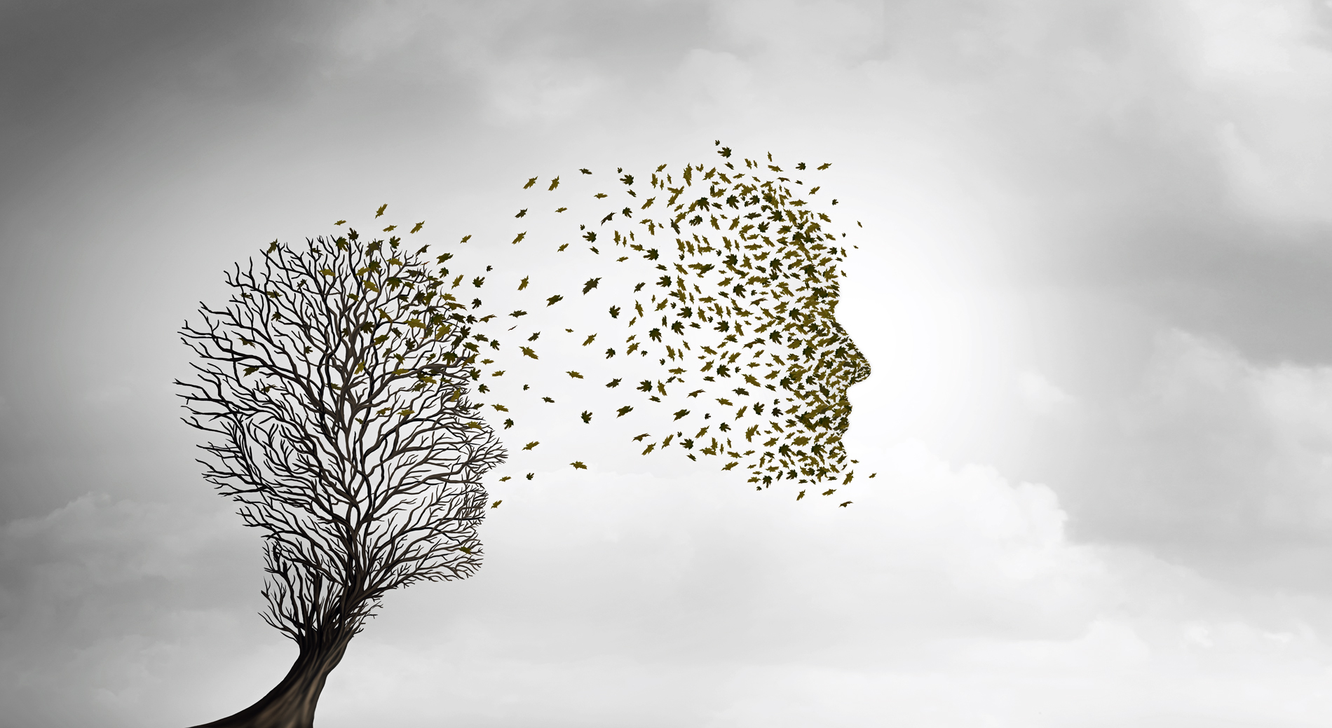 Prawo do śmierci: czy przyznaliby je sobie lekarze