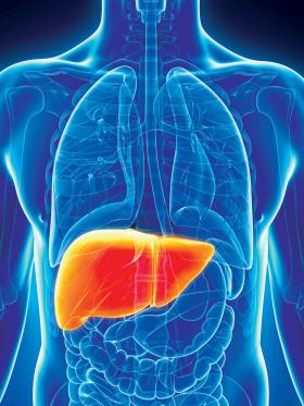 Niestety, trudno jest przewidzieć, komu marskość wątroby zagraża najbardziej.