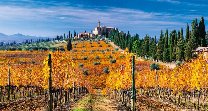 Toskania. To tu produkuje się najsłynniejsze wino czerwone – Brunello.