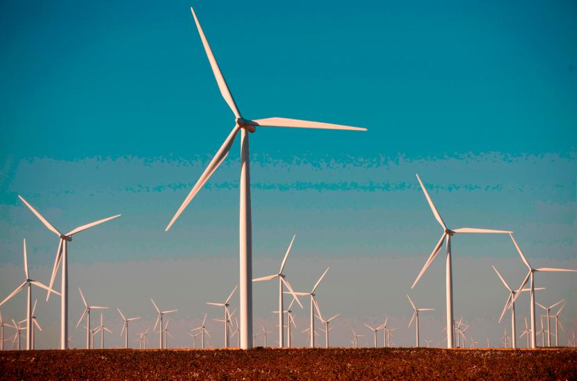 Znalezione obrazy dla zapytania Horse Hollow Wind Energy Center w Teksasie.