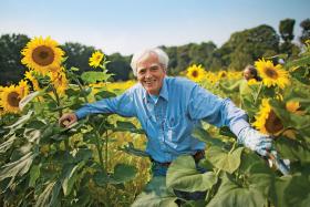 Hans-Christian Ströbele, działacz Zielonych, przekonuje: „Dwoje dorosłych ludzi powinno samemu decydować, czy odbędą ze sobą stosunek płciowy”.