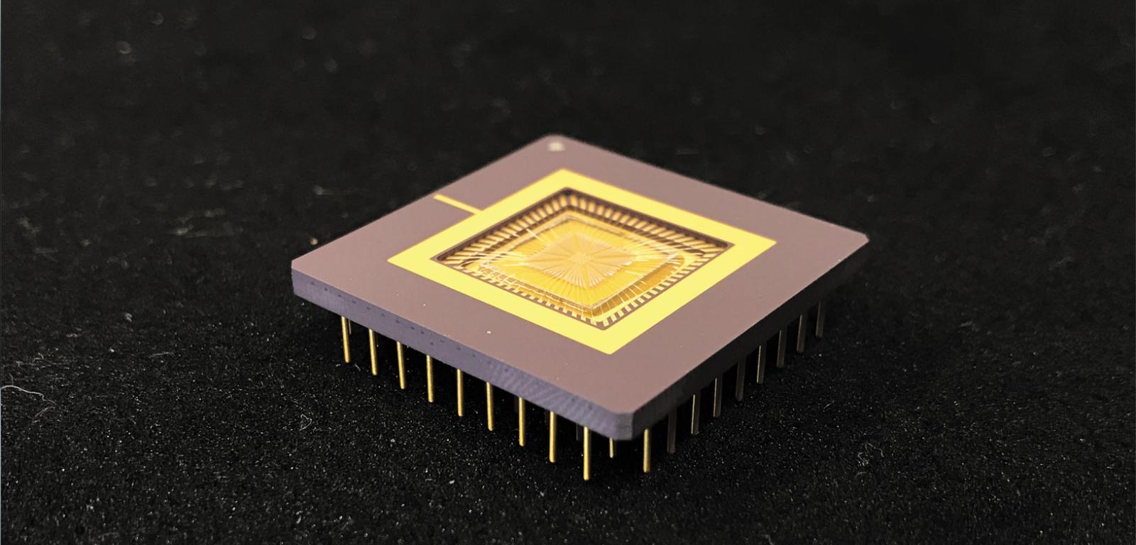 Setki mikroskopijnych włosków wymuszają przepływ płynu przez ten chip.