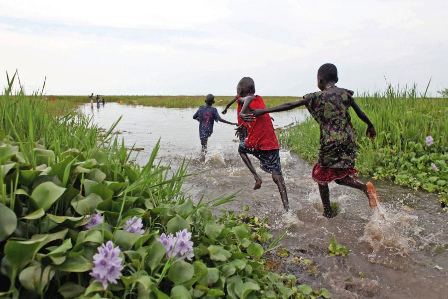 Bagna Sudd w Sudanie Południowym ciągną się na długości 400 km wzdłuż Nilu Białego.