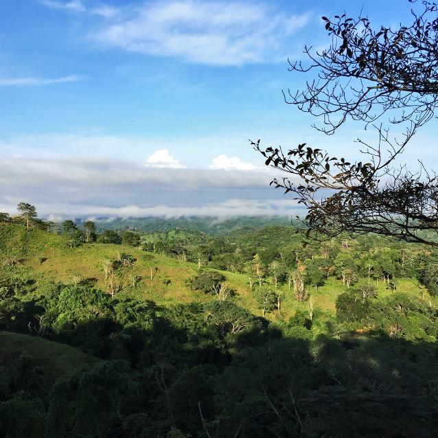 Pulsar - wyjątkowy portal naukowy.