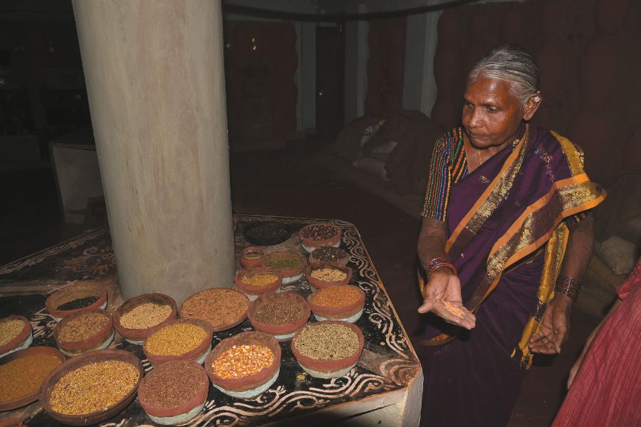 Moligeri Chandramma odpowiada za bank nasion w DDS. Znajduje się w nim ponad 70 gatunków i odmian roślin uprawnych.