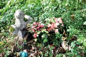 Cmentarz w Radziejowej