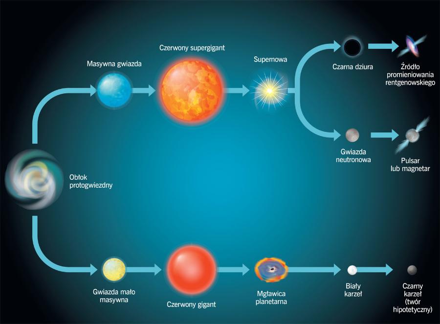Drogi ewolucji gwiazd (­masywnych i mało masywnych).