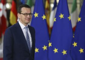 Morawiecki, jako czołowy pisowski „realista”, ma za zadanie powstrzymywać ogólnie słuszne, lecz czasem zbyt daleko idące zapędy frakcji rewolucyjnej, kojarzonej z osobą Zbigniewa Ziobry.