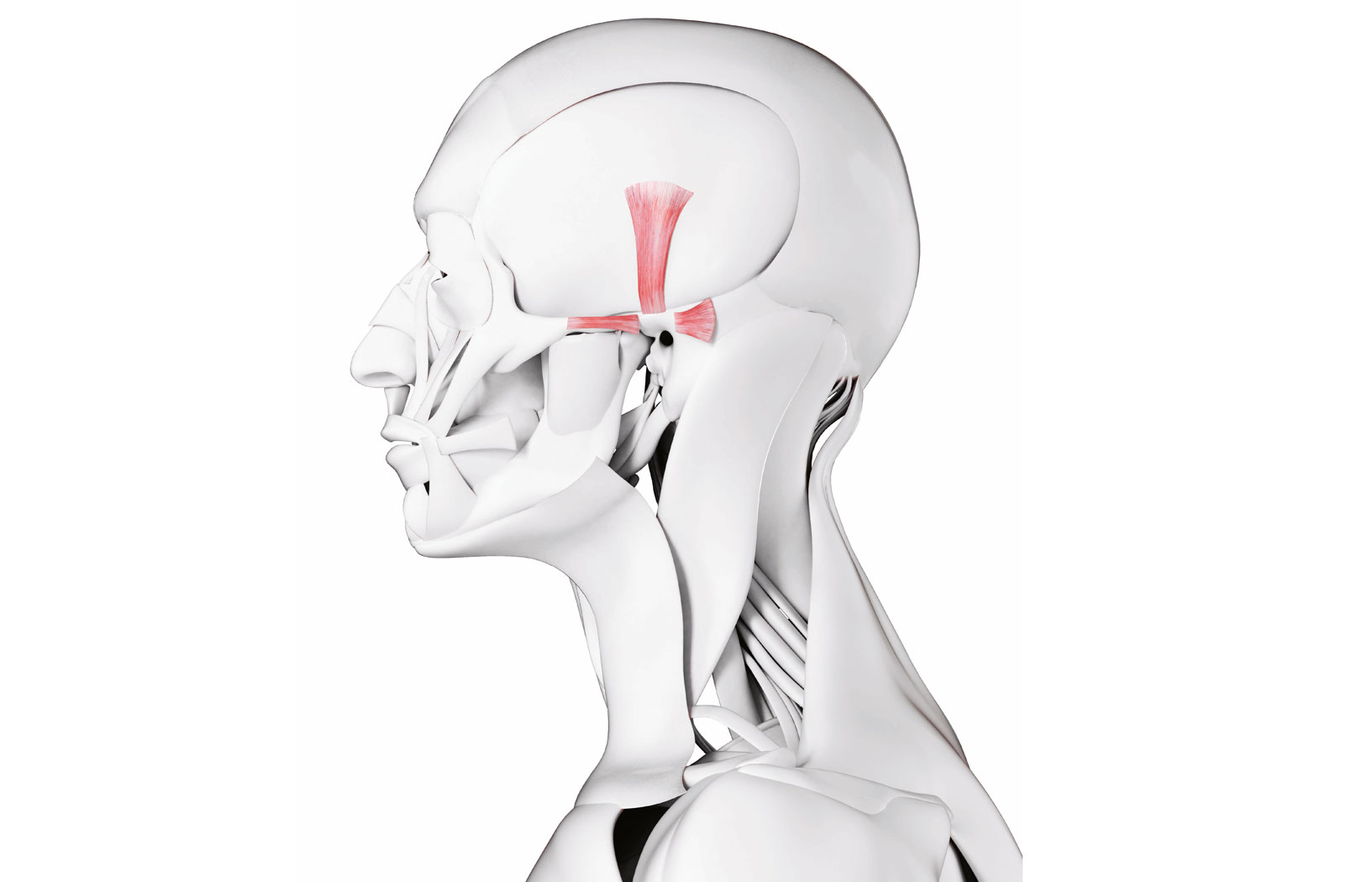 Niepotrzebne części człowieka