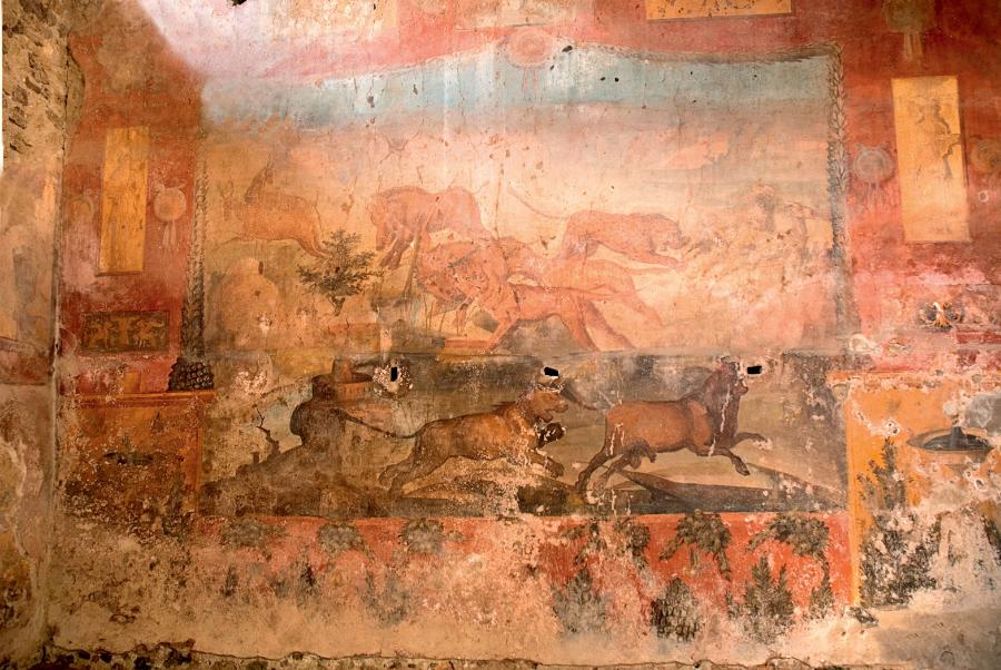 Odświeżony i zakonserwowany fresk z wirydarza w willi Lucjusza Cejusza Sekundusa, przedstawiający dzikie zwierzęta, który powstał tuż przed wybuchem wulkanu.