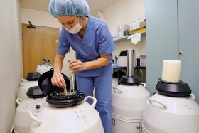 Nadliczbowe zarodki trafiają do baniaków-zamrażarek z ciekłym azotem