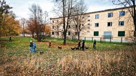 Wspólne spacery wokół schroniska na Paluchu