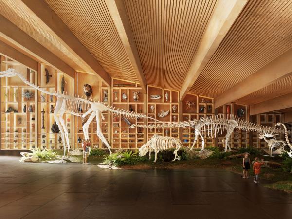 Wizualizacja Muzeum Historii Naturalnej w Debreczynie