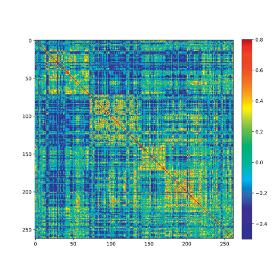 Czy to dywan HJÄRNA z nowego katalogu IKEA? Nie, to macierz kowariancji 264 źródeł sygnału fMRI w mózgu. Każdy kolorowy kwadracik reprezentuje siłę korelacji pomiędzy dwoma strukturami w mózgu. Badacze próbują wyodrębnić z tego barwnego kobierca makrosieci złożone ze sprzężonych ze sobą funkcjonalnie struktur. Tutaj przyjmują one formę żółto-czerwonych „wysp”.