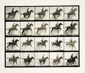 Cykl fotografii Edwarda Muybridgea z 1872 roku.