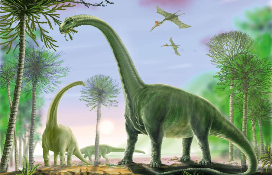 Argentynozaur – prawdopodobnie największy z tytanozaurów (i w ogóle największe znane zwierzę lądowe) – zamieszkiwał Amerykę Południową ok. 90 mln lat temu.