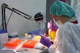 Prokuratora nie zaniepokoiły siniaki na ciele młodej kobiety, zbite lustro i wgniecenie boazerii w przedpokoju czy plamy krwi na drzwiczkach szafki na buty. Nie zabezpieczył żadnych dowodów ani śladów.