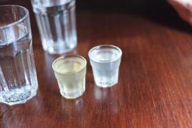 U progu nowożytności upowszechniła się – dzięki arabskiej destylacji – wódka, którą nazywano wodą życia.