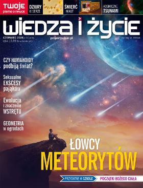 wydanie pulsar wiedza i życie