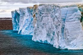 Losy wielu zwierząt żyjących na Antarktydzie nierozerwalnie łączą się z lodem, a tego z powodu globalnego ocieplenia jest coraz mniej.