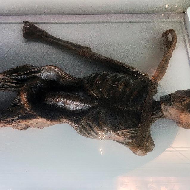 Pulsar - wyjątkowy portal naukowy.