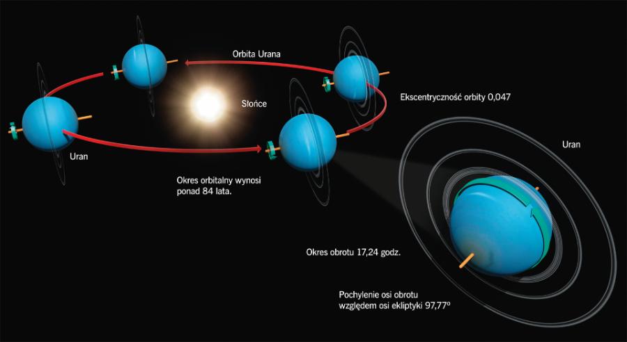 Orbita Urana wokół Słońca. Średnia odległość pomiędzy tymi ciałami to 2,9 mld km.