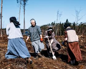 W zorganizowanej przez Lasy Państwowe akcji uczestniczyły m.in. siostry franciszkanki z pobliskiego Orlika.