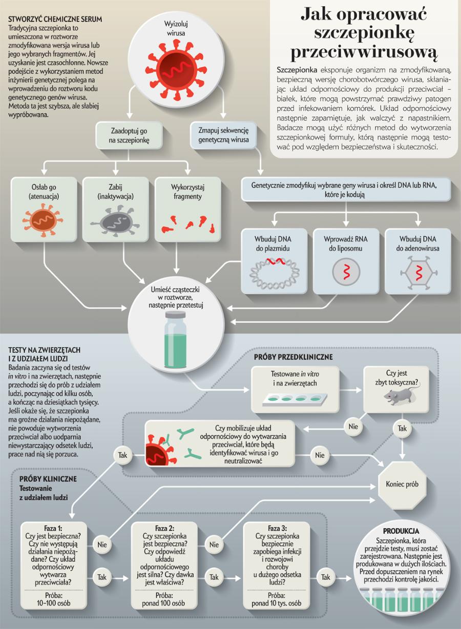 Jak opracować szczepionkę przeciwwirusową