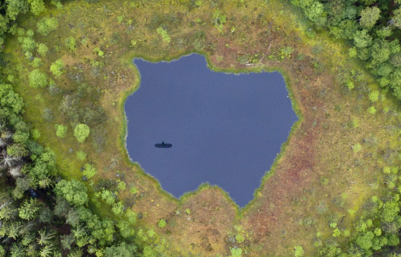 Jeziorko w kształcie Polski w Trójmiejskim Parku Krajobrazowym niedaleko Gdyni.