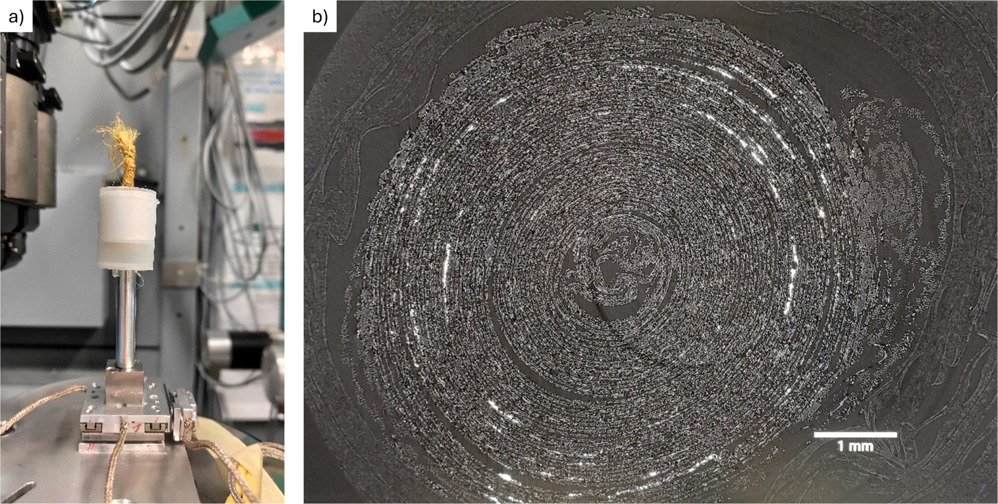 BESSY rozwiązuje buddyjski zwój