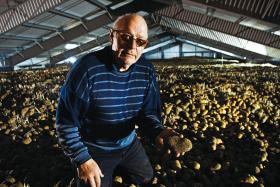 Ben van Westeringh z Żuław Książęcych, pionier współczesnego osadnictwa holenderskiego w delcie Wisły, który uparł się sadzić tu ziemniaki.