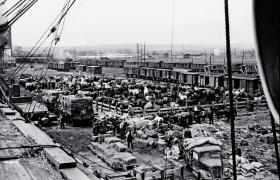 Wyładunek koni darowanych Polsce przez organizację Helfer International, 1947 r.