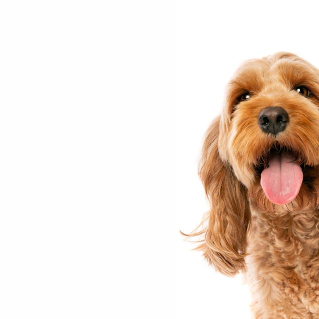 Pulsar - wyjątkowy portal naukowy.