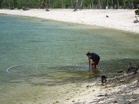 Moorea. Łowienie ryb jest proste. Nie trzeba nawet wypływać w morze.