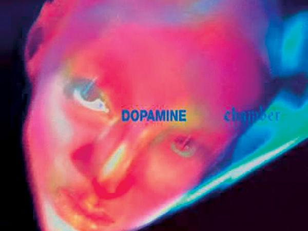 Fontaines D.C., „Dopamine Chamber”