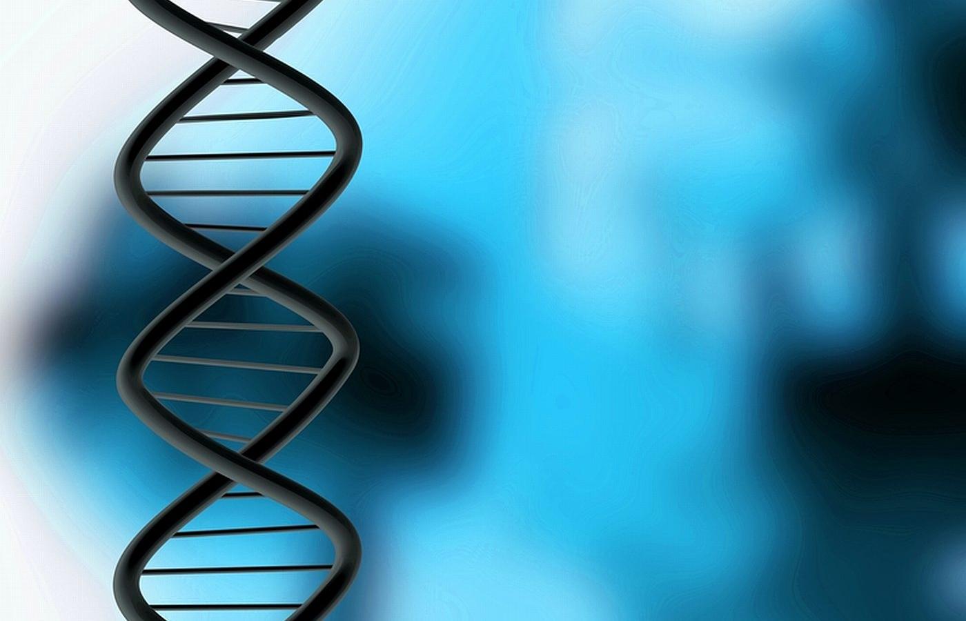 Dziś testy DNA na ojcostwo zeszły pod strzechy. Liczba wykonywanych rocznie badań sięga kilkunastu tysięcy.
