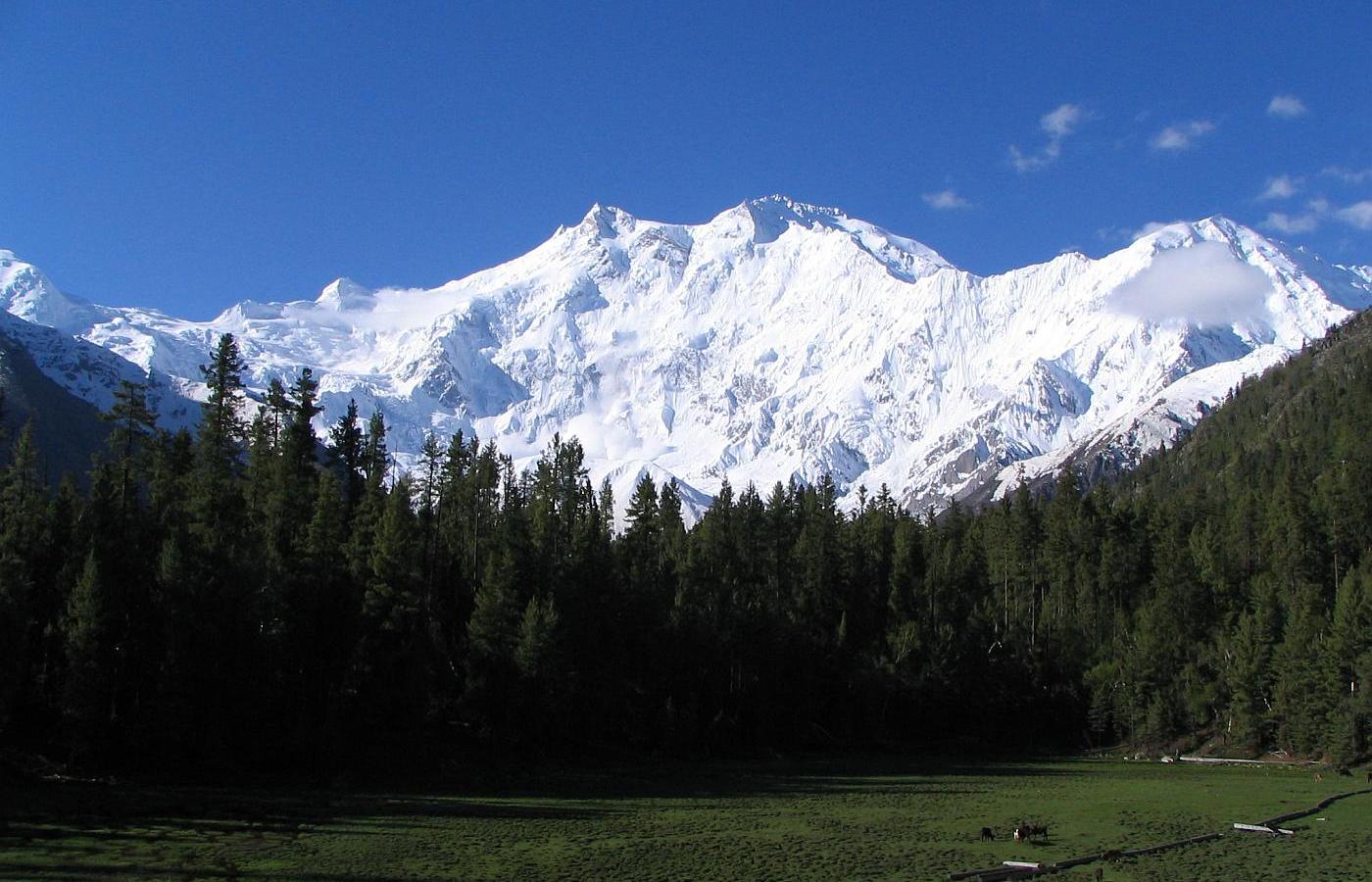 Ośmiotysięcznik Nanga Parbat w zachodnich Himalajach.