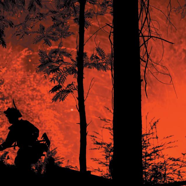 Pożar August Complex Fire zniszczył latem 2020 roku kalifornijskie lasy.