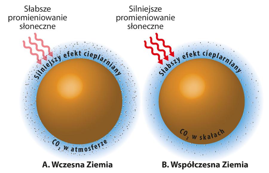 Wczesną Ziemię od chłodów związanych ze słabszym promieniowaniem słonecznym uchronił silny efekt cieplarniany. Dziś jest on znaczenie słabszy – i dobrze, bo przy silniejszym obecnie Słońcu nasz glob stałby się bardzo gorący.